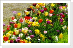 endlich frühling endlich frühling