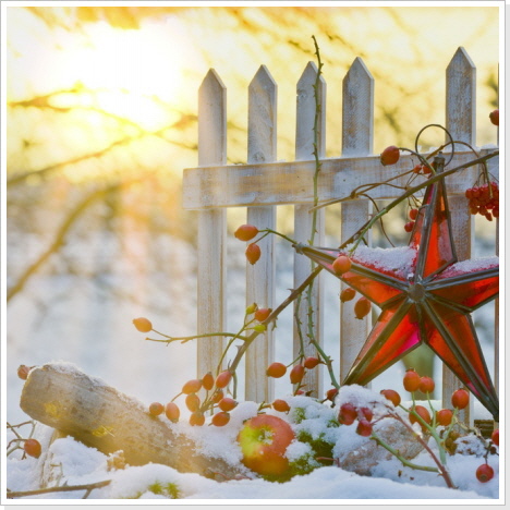 Wintermorgen © Stefan Körber - Fotolia.com